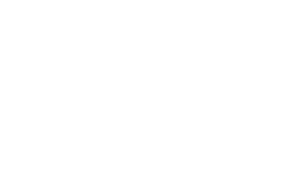 Zodiac Logo