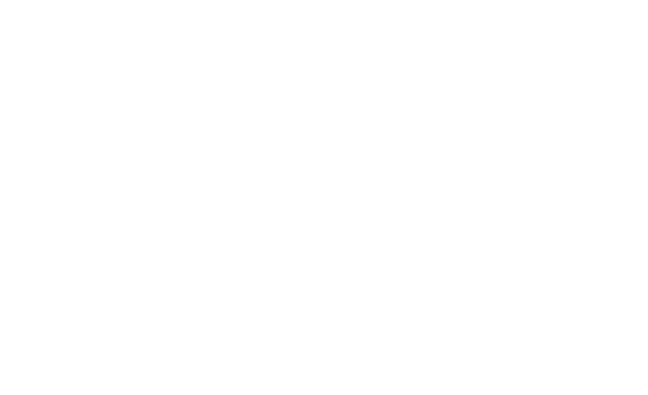 Zodiac Fine Belts