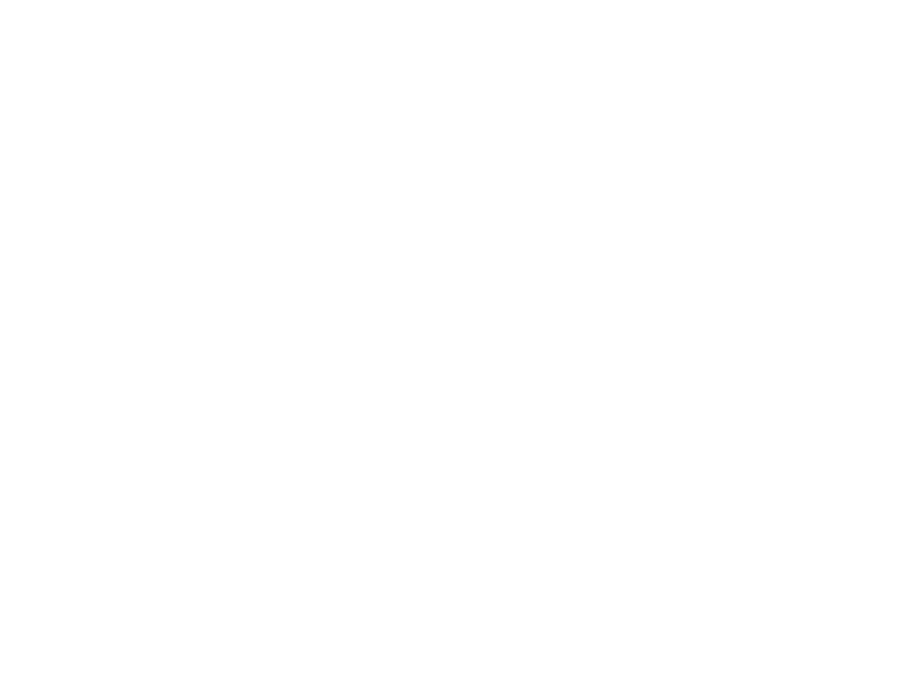 Zodiac Fine Belts